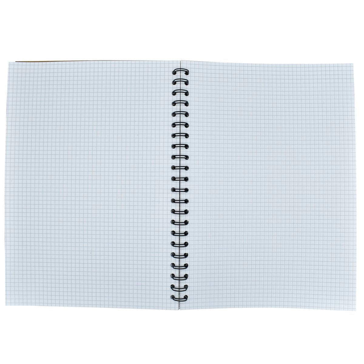 Jags Graph Paper Diary A4 160Pages - Student Stationery